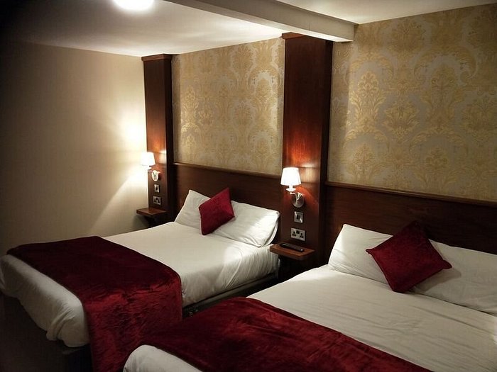 accomodation-no-bugs-on-me-newcastle-pest-control