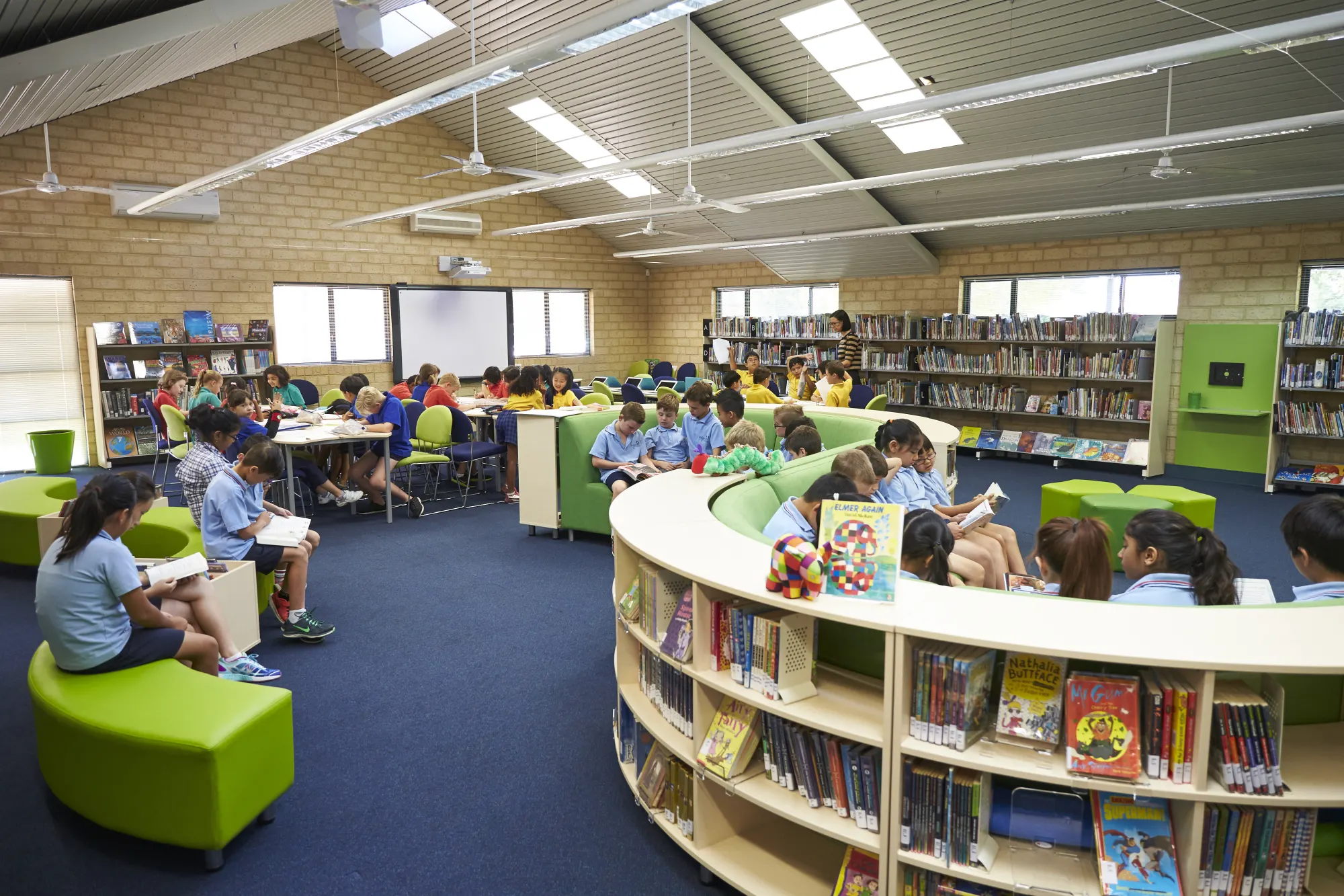 libary-no-bugs-no-me-pest-control